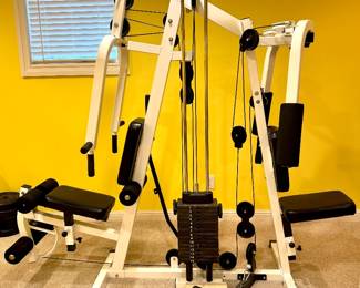 $420 - Parabody Serious Steel Home Gym