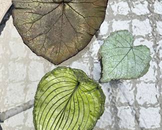 #050 Set of 3 Painted Concrete Leaves Large 12x12 Medium 11.5 x 8.5 Small 8x6.5 $32
