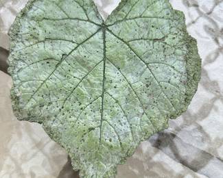 #050 Set of 3 Painted Concrete Leaves Large 12x12 Medium 11.5 x 8.5 Small 8x6.5 $32