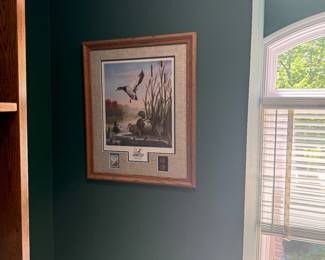 Duck Stan pic