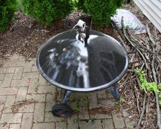 1151Back Yard