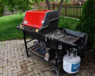 1150Back Yard