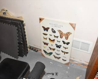 0904Basement