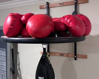 Everlast punching bag with 2 sets of gloves