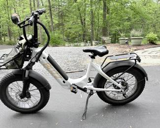 buzz centris folding e-bike
