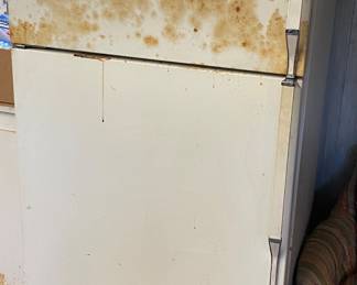 Shop/Garage Refrigerator