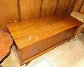 MCM Chest/Trunk