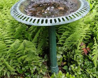 Birdbath