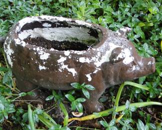 Cement Pig