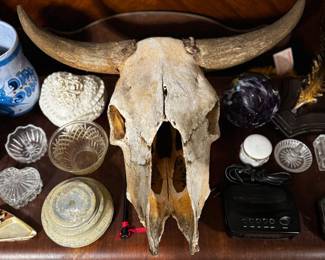 Steer Skull
