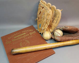 Lot 876: Childhood Baseball Memories