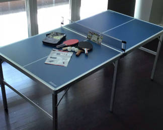 Lot 808: GoSports Table Tennis Table Set