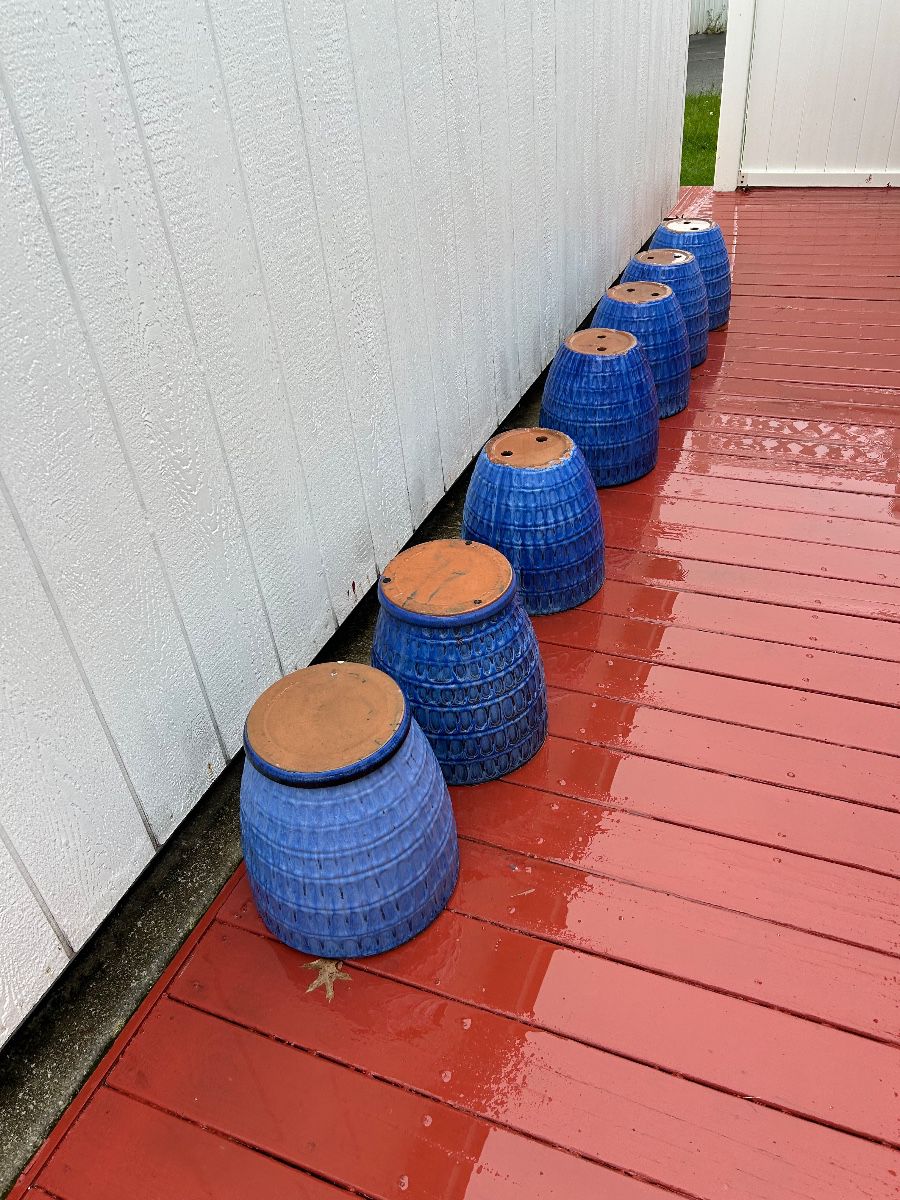 New Large Flower pots
