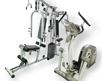 MultiSports Strength Training Gym  Yowza Core Motion Trainer