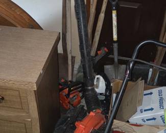 Echo PBT Backpack Leaf Blower