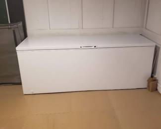 2019 Frigidair chest freezer 8 feet L