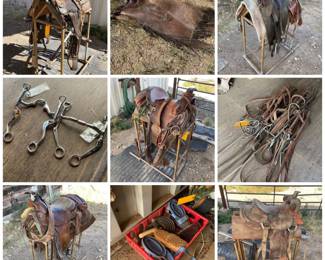 horse