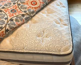 Newer Clean Mattress