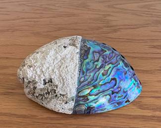 Polished Paua Abalone Shell on Natural Rock Base