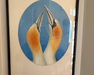 Gannets Kissing Framed Print