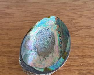 Polished Paua Abalone Shell on Natural Rock Base second image