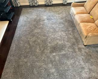 Area Rug