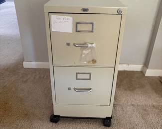 2 drawer file cabinet