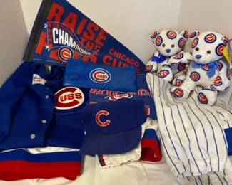 For The Cubbies Fan