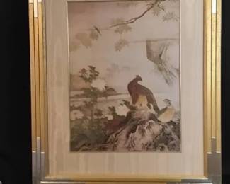 Pheasants On Display