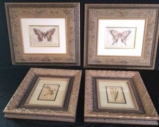 Framed Pictures