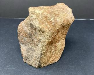 fossil