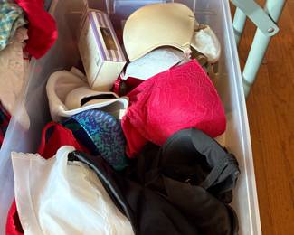 UNDERGARMENTS AND SLIPS