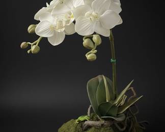 Artificial White Phalaenopsis Orchid Arrangement 