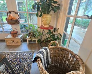 plants, planters, baskets, area rugs, etc