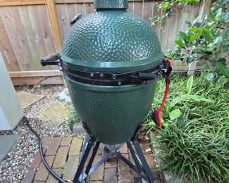 Big Green Egg Grill