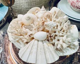 Gorgeous shell decorative piece 