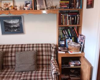 books, lots of fiction novels