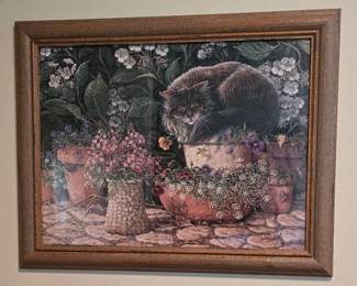Cat Picture 