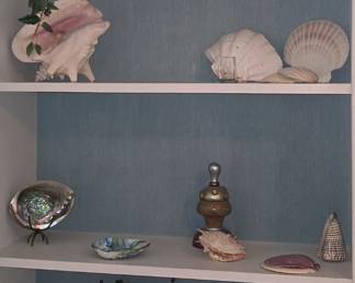 Home Decor - Shells