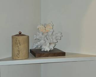 Shells - Home Decor 