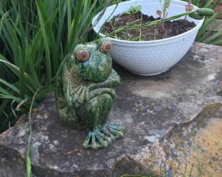 Happy Frog and Planter
