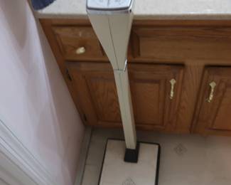 scale