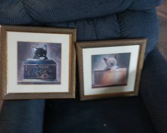 pictures