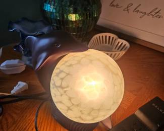 Light up dolphin globe $15