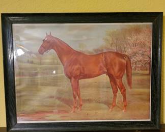"Man O' War"