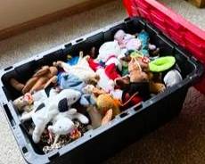 Large Collection of Vintage TY Beanie Babies in Storage Bin