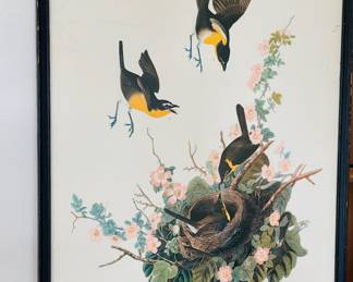 Vintage bird art 