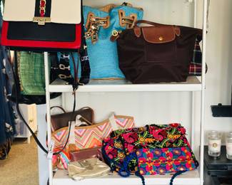 Purses: Longchamp 