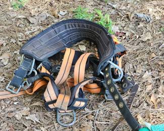 Harness for Lot of tree climbing Equipment $75