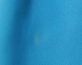 Stain or Color Removed on Coach bag 2 $50